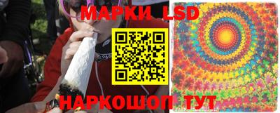 стаф Кунгур